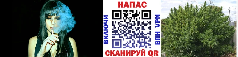 Где купить Оренбург Alpha PVP COCAIN ГАШ Амфетамин Экстази Канабис