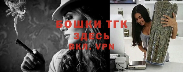 кокс Елизово