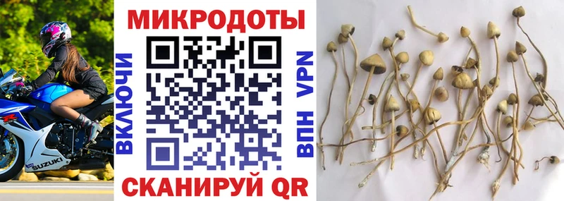 Галлюциногенные грибы MAGIC MUSHROOMS Оренбург