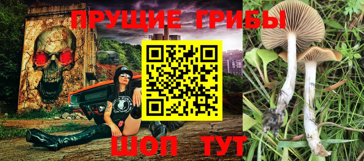 Псилоцибиновые грибы Magic Shrooms Оренбург