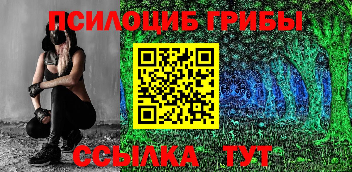 Оренбург  Галлюциногенные грибы прущие грибы  Вход с VPN 