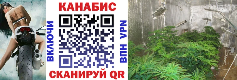 MEGA маркетплейс  Оренбург  Шишки марихуана AK-47 